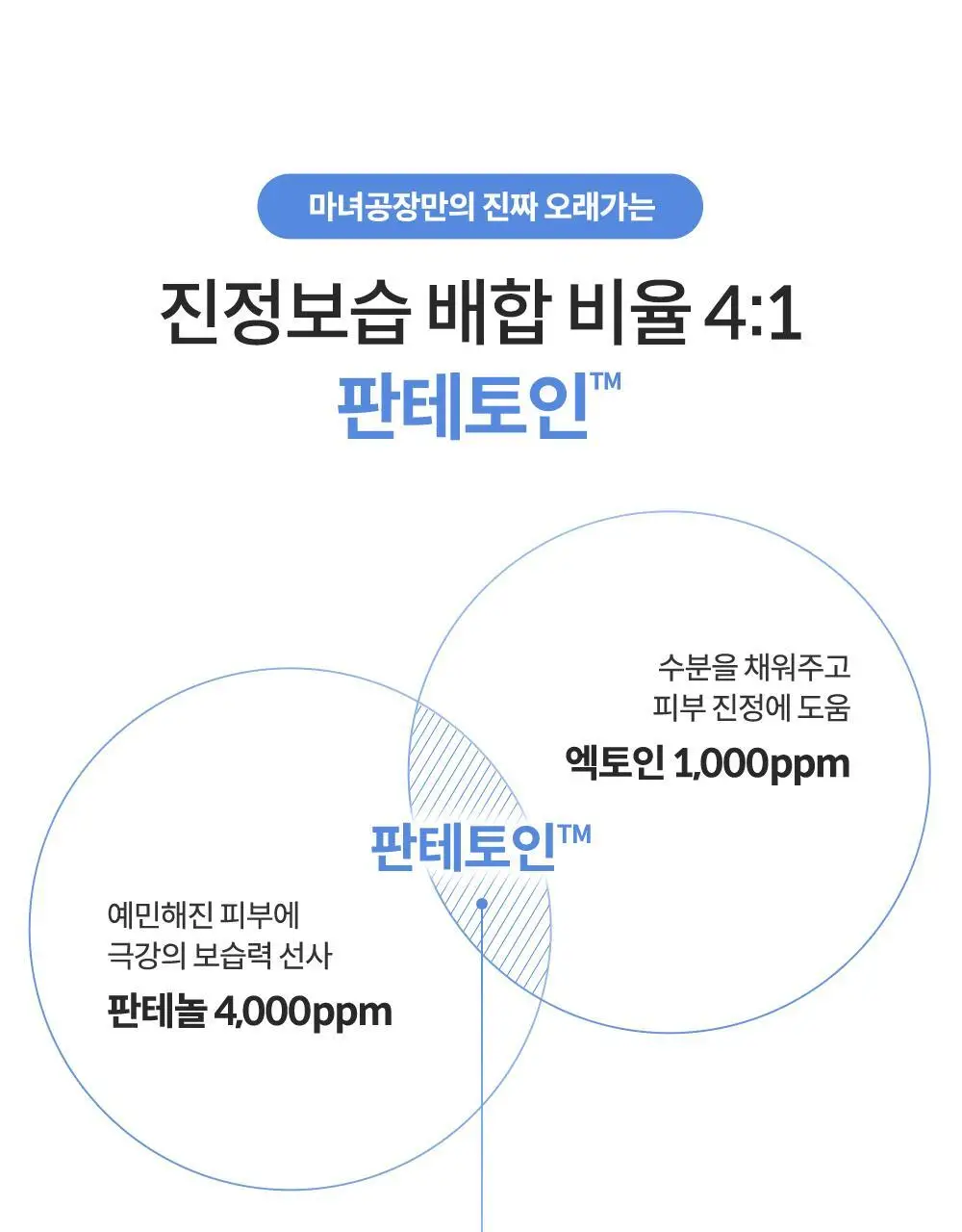 [속보습] 마녀공장 판테토인 에센스 토너 200ml 상세페이지 7